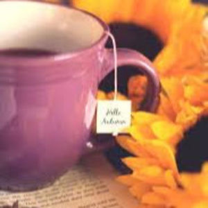 Meet your Posher, Trinity